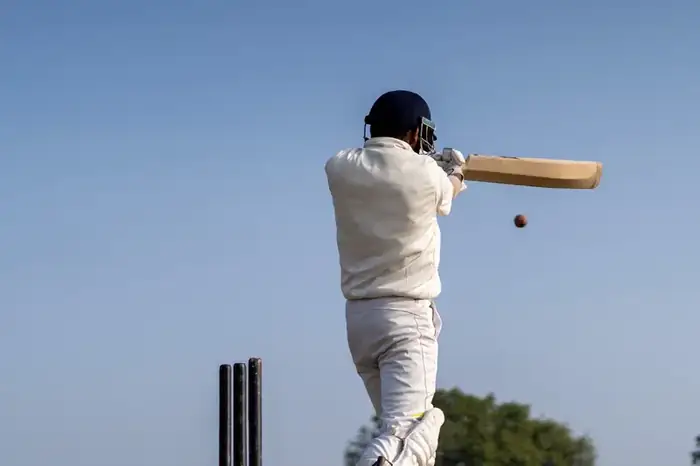 Cricket pitch (representative image)